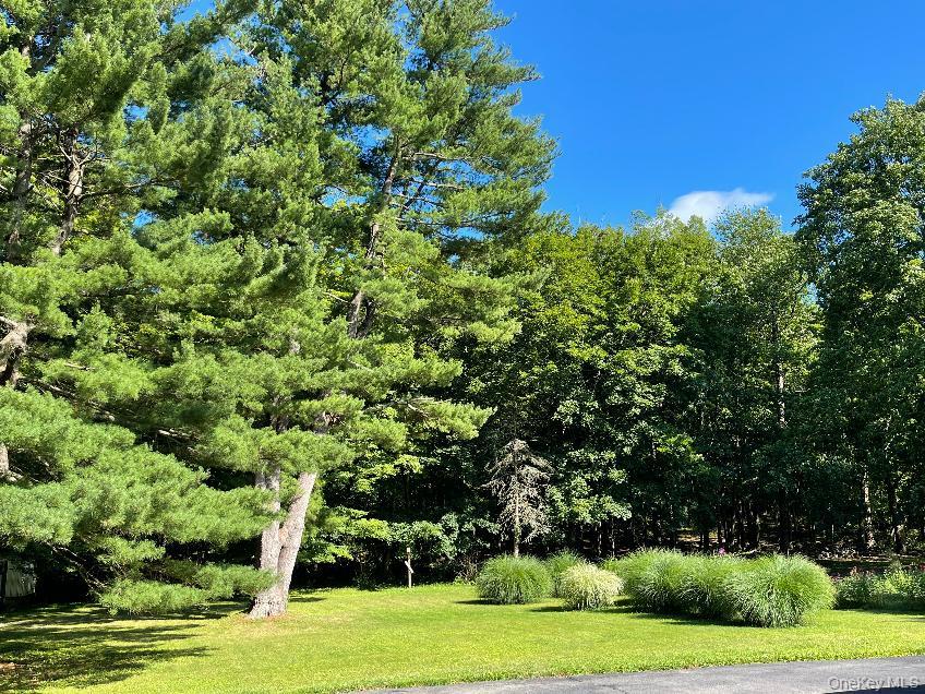 2195 Route 302 Property Photo 18