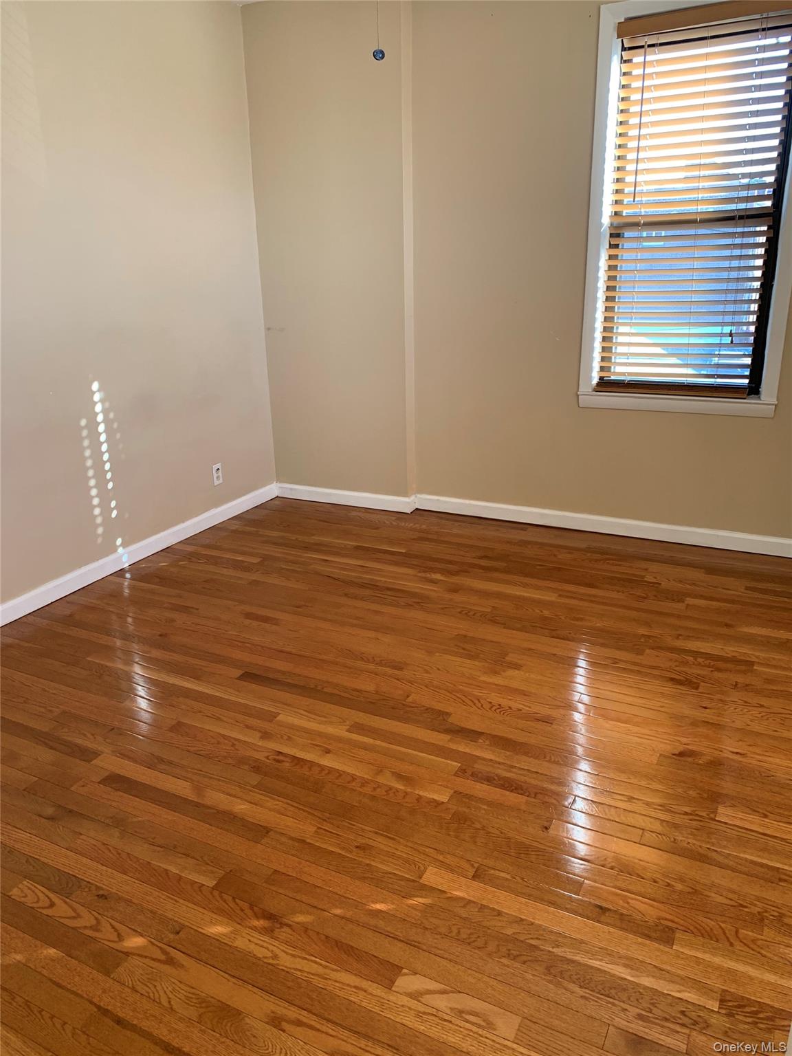 2564 Paulding Avenue Property Photo 19