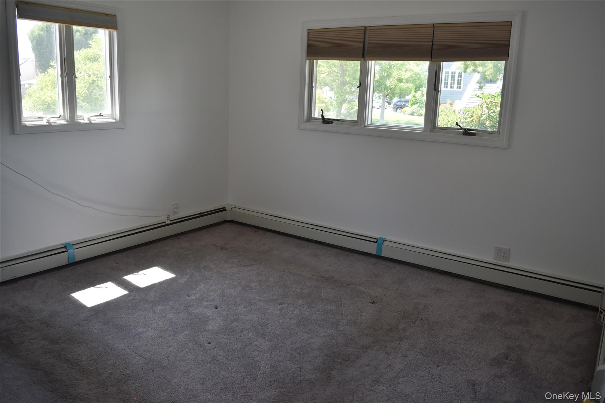 253 Forest Avenue Property Photo 12