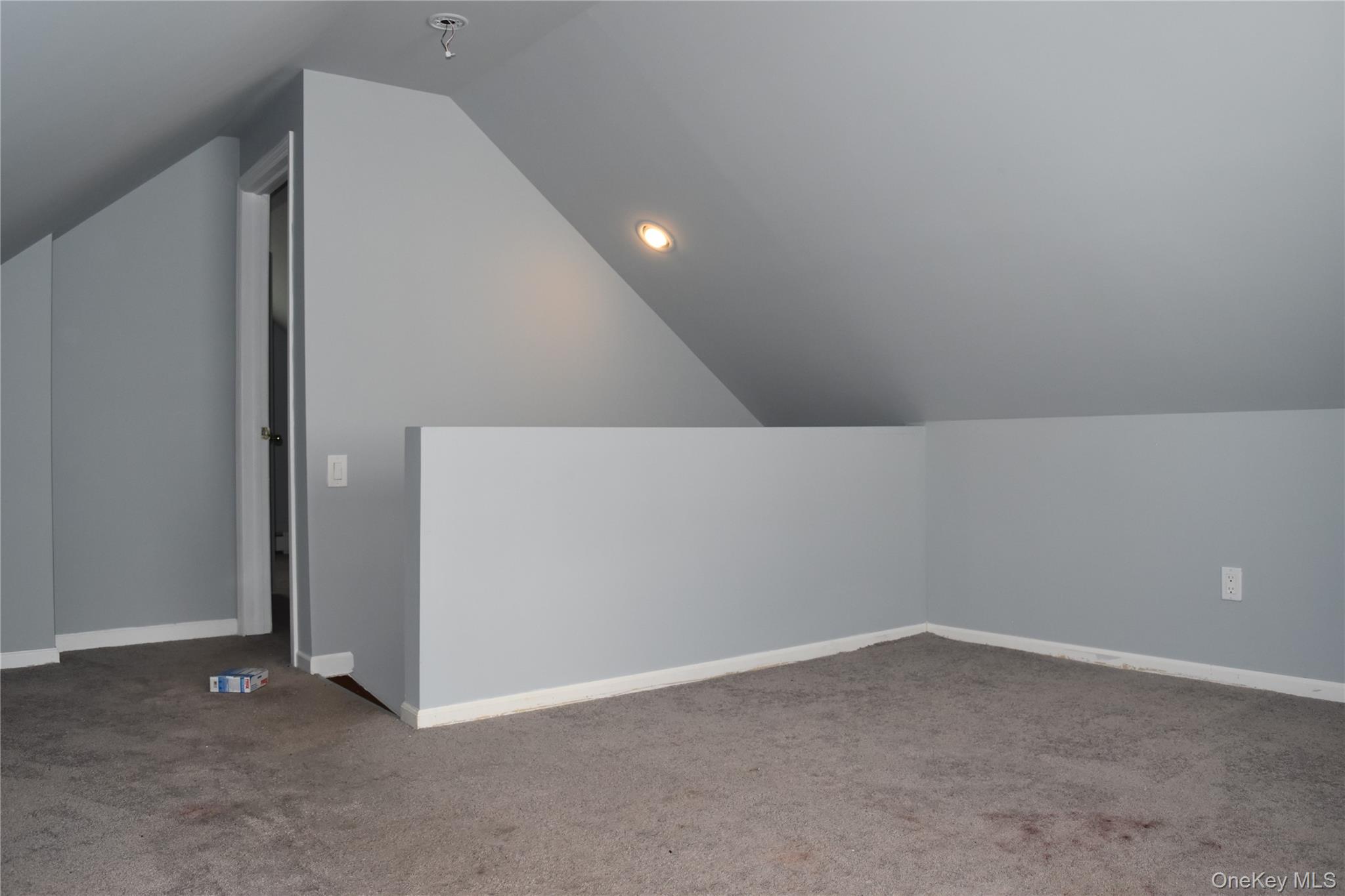 253 Forest Avenue Property Photo 16