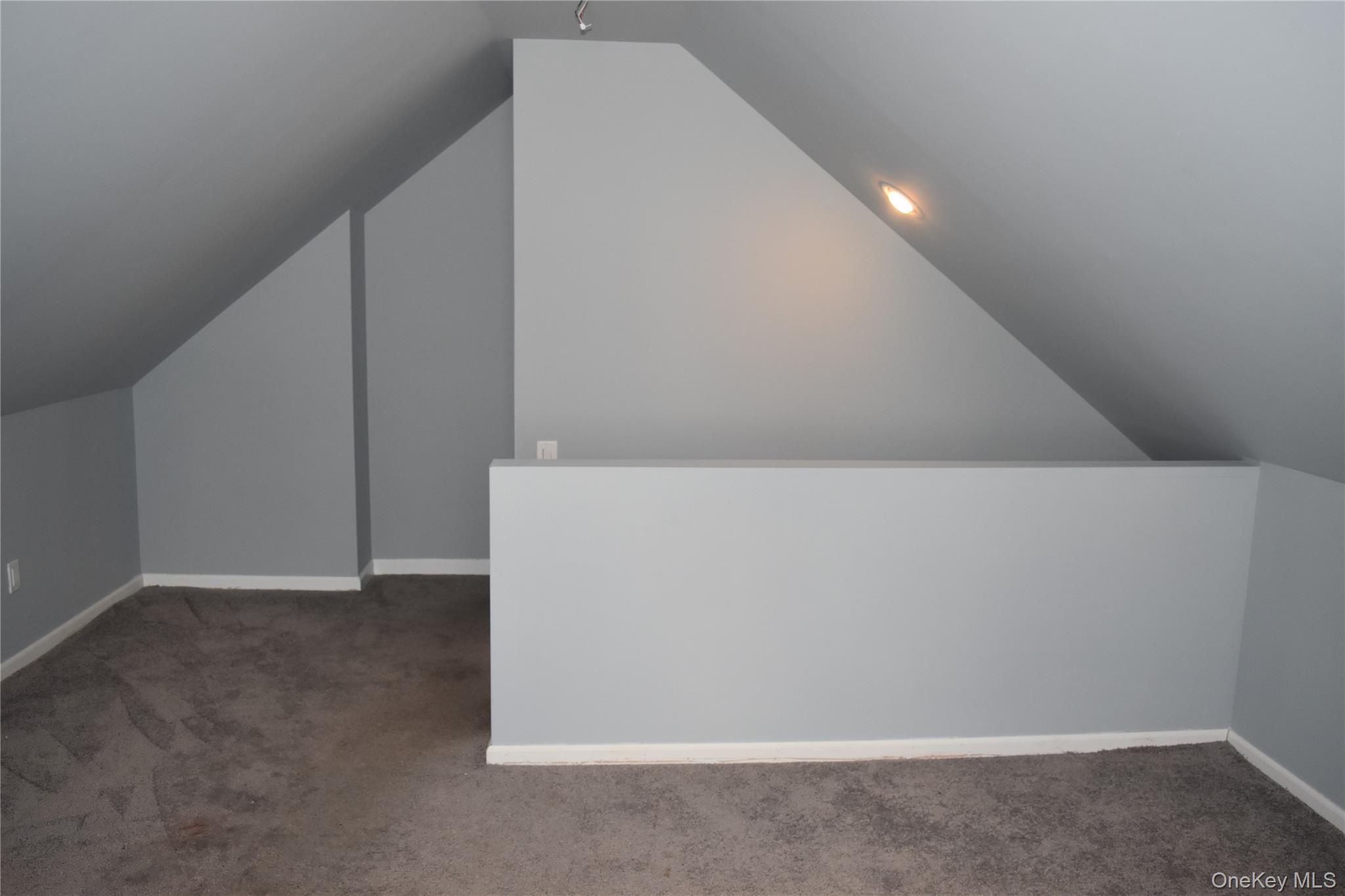 253 Forest Avenue Property Photo 18