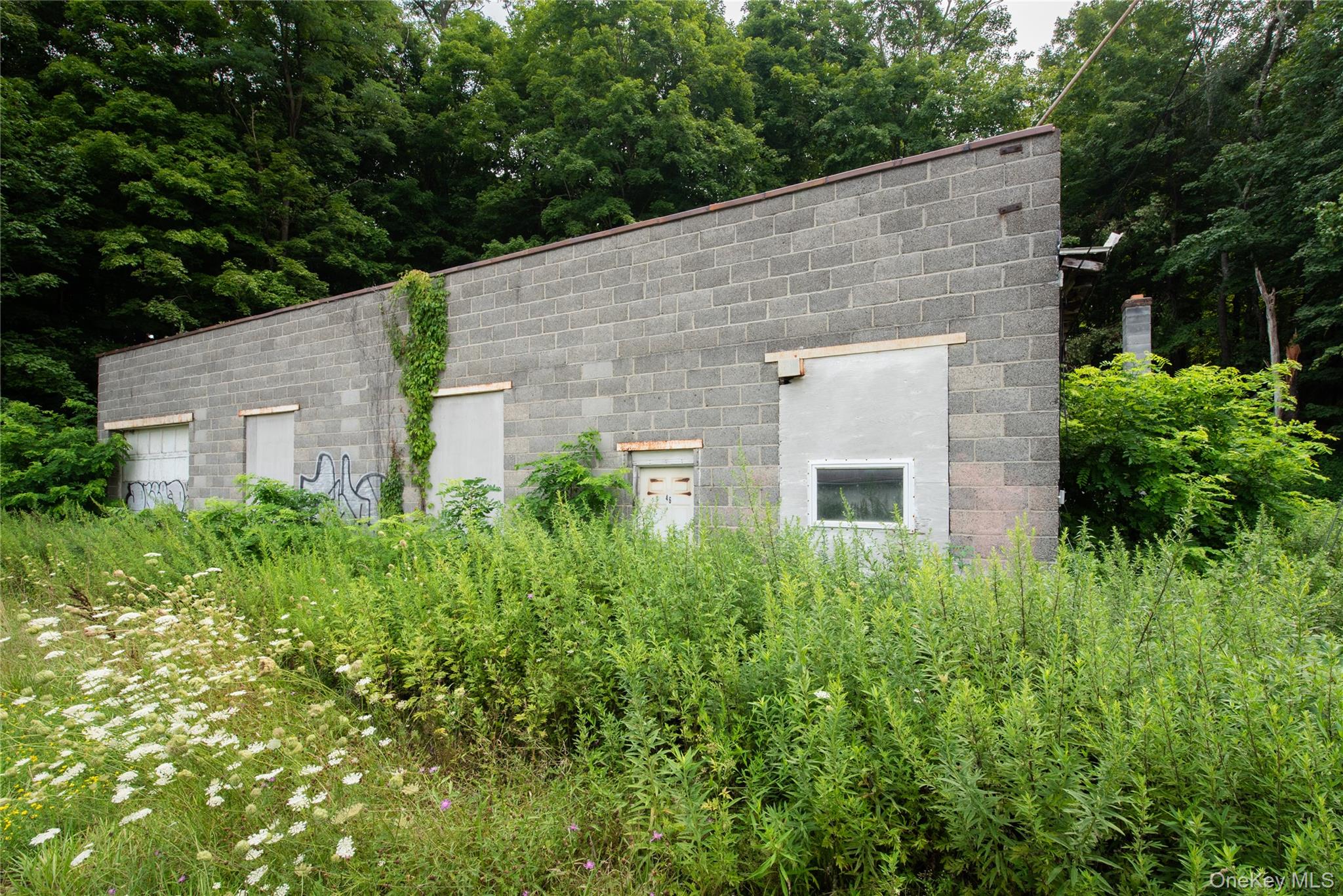 46 South Avenue Property Photo 3