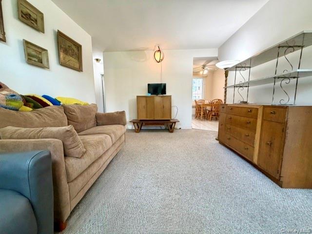 69-29 218th Street Lower Property Photo 7