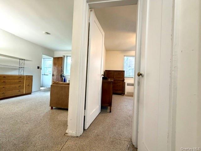 69-29 218th Street Lower Property Photo 12