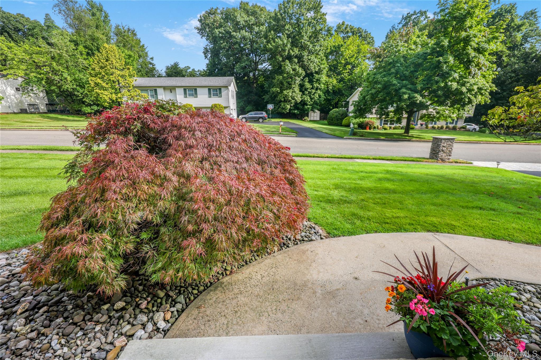 34 Strathmore Drive Property Photo 44