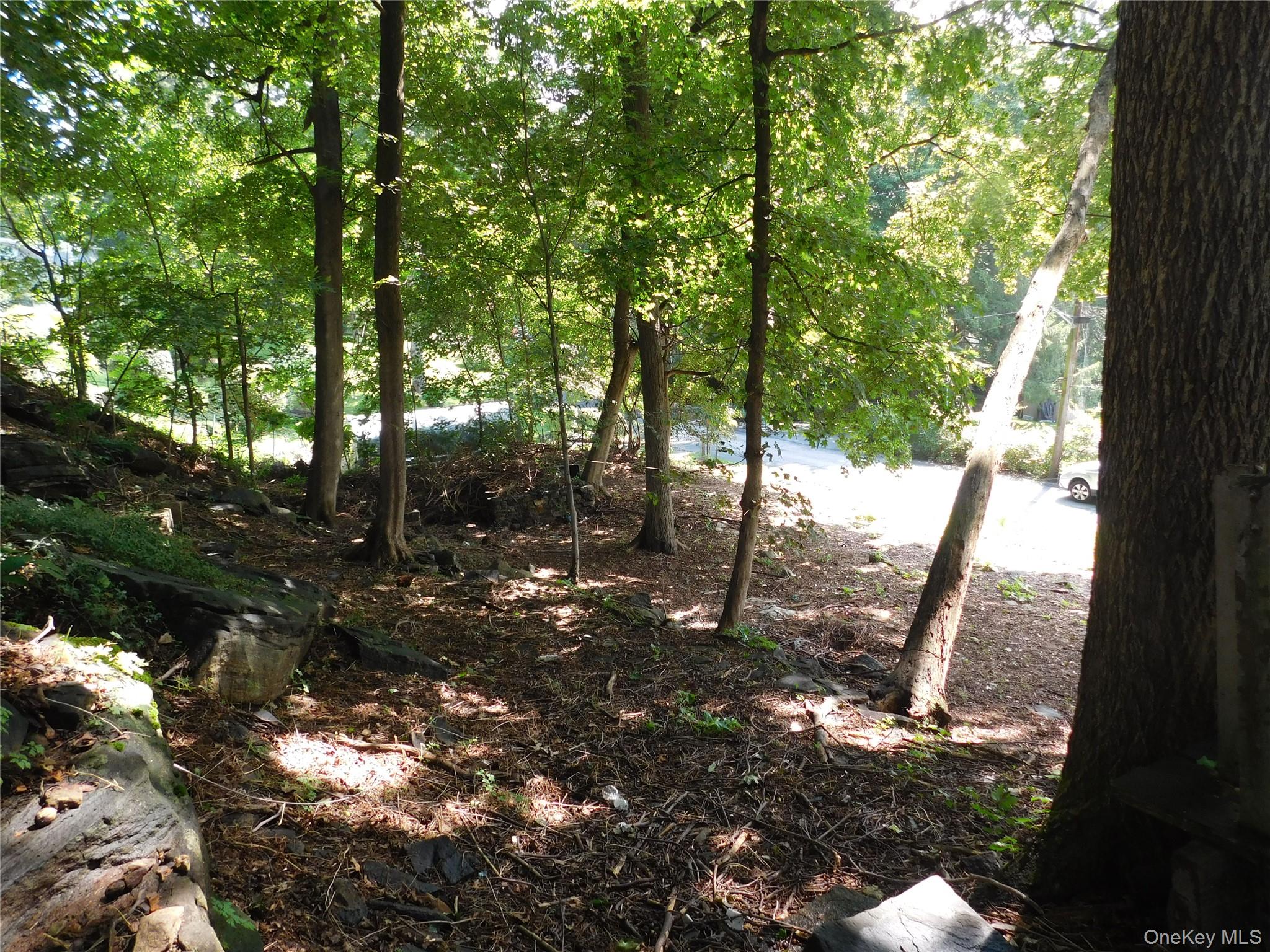 39 Sycamore Terrace Property Photo 3