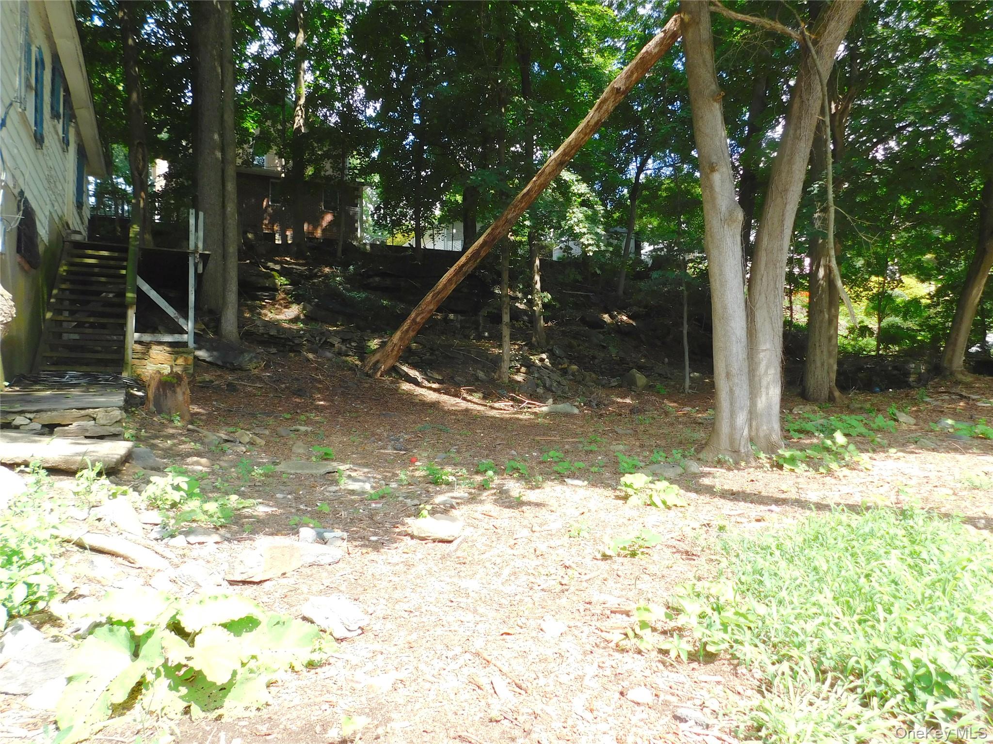 39 Sycamore Terrace Property Photo 20