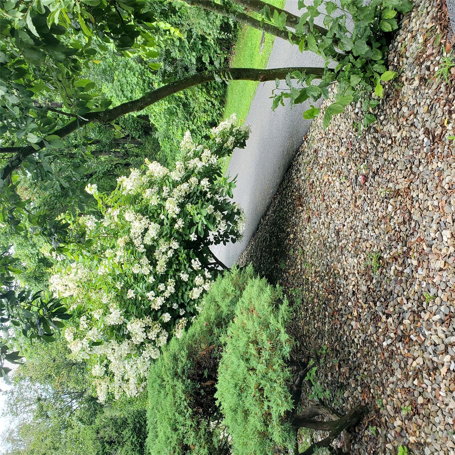 160 W West Road B19 Property Photo 2