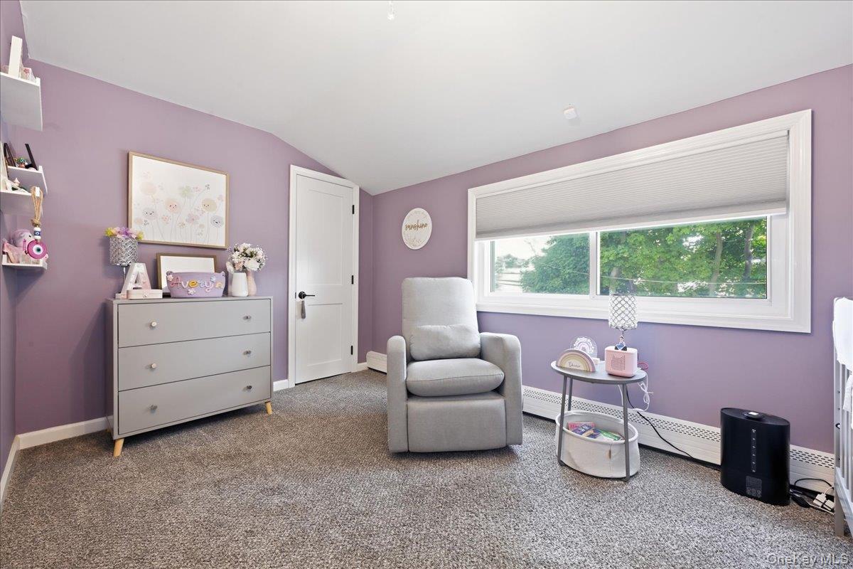 23 Needle Lane Property Photo 27
