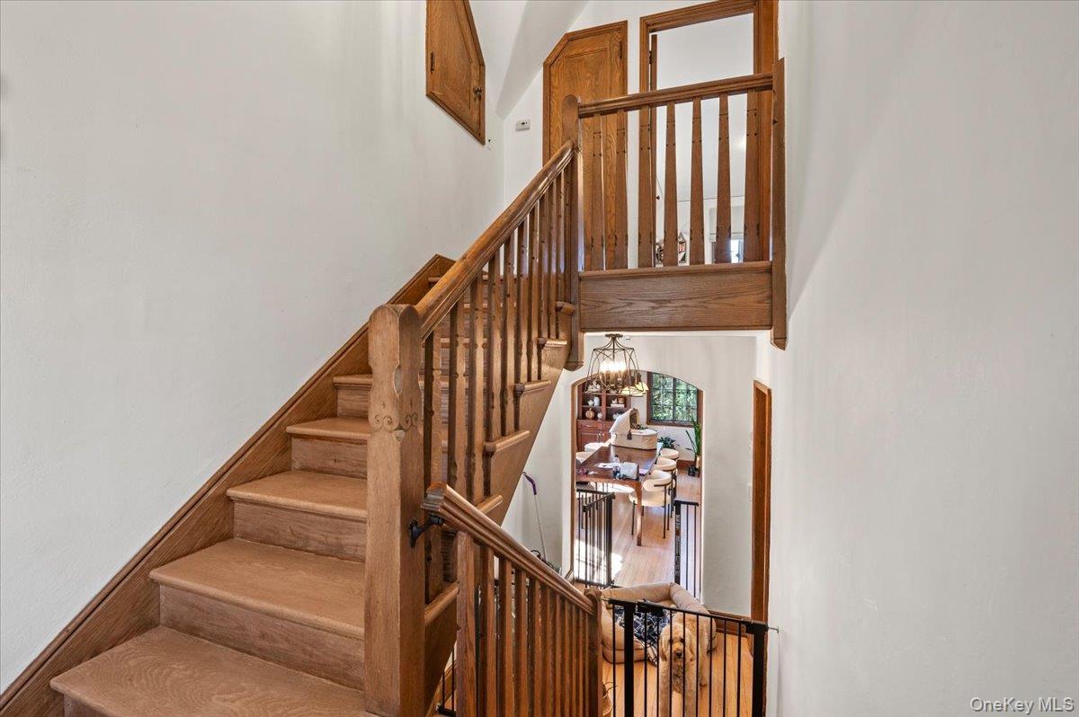 12 Hampton Road Property Photo 19