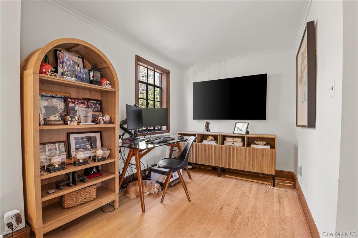 12 Hampton Road Property Photo 24