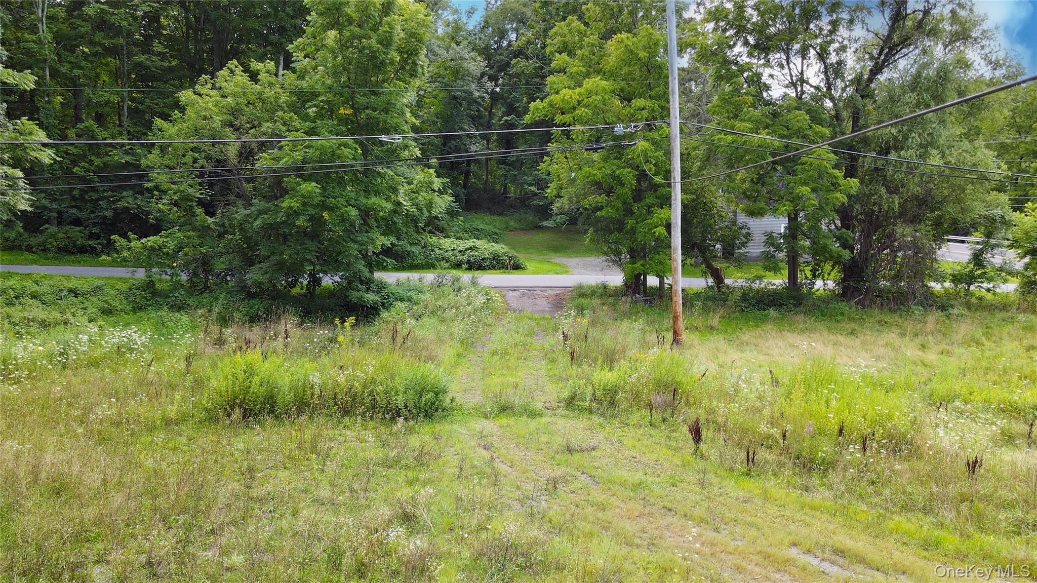 2971 State Route 209 Property Photo 4