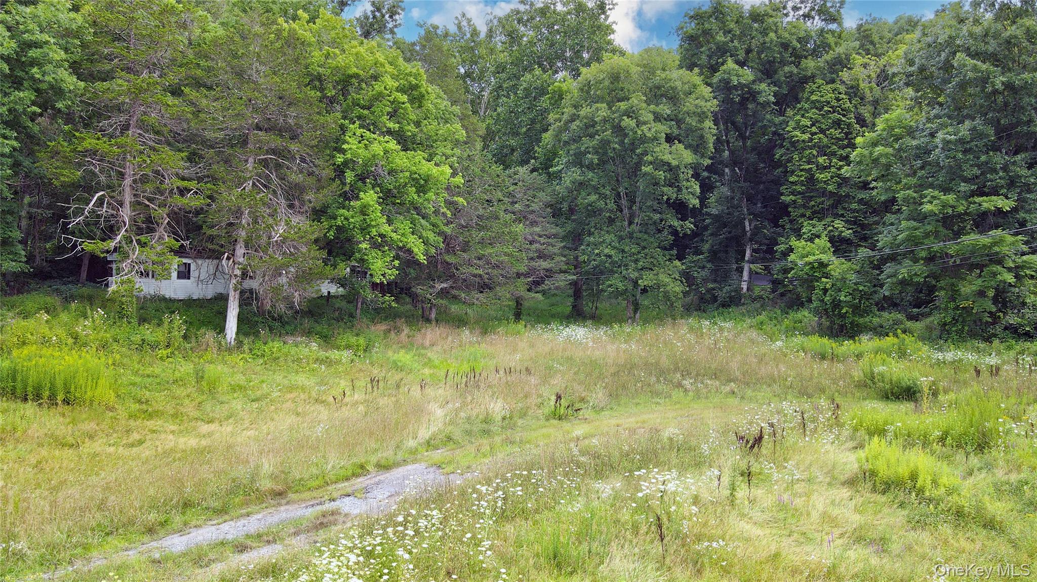2971 State Route 209 Property Photo 5