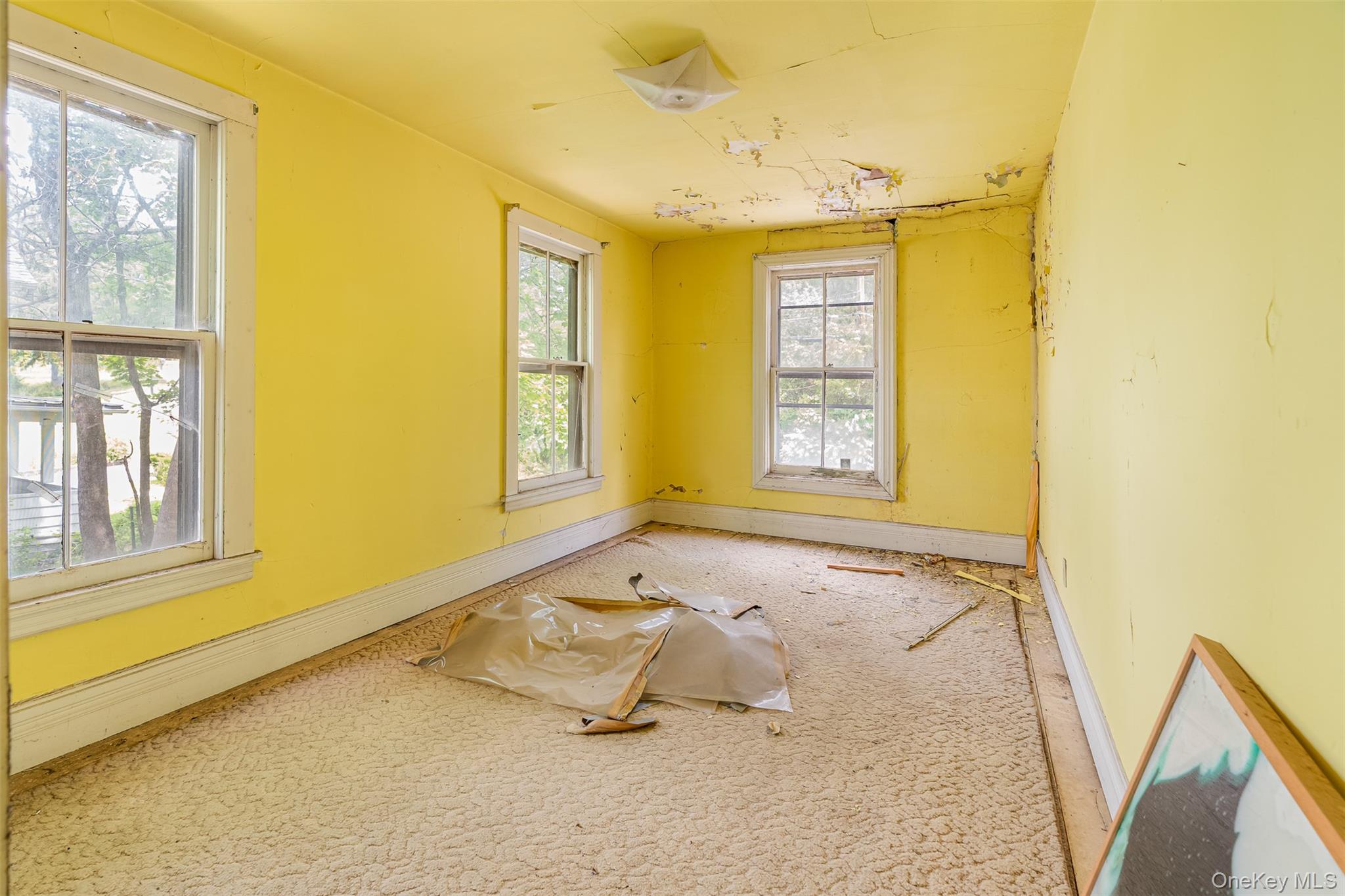 50 Maple Street Property Photo 19