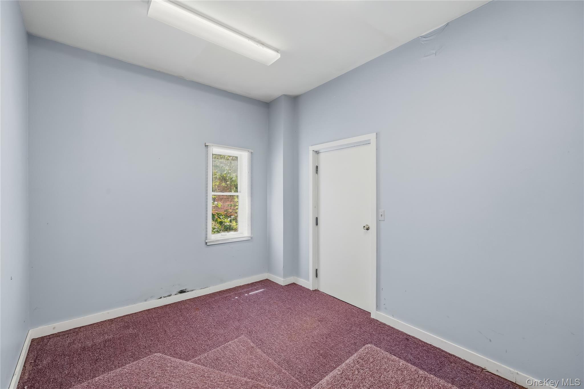 131 Wickham Ave Property Photo 26