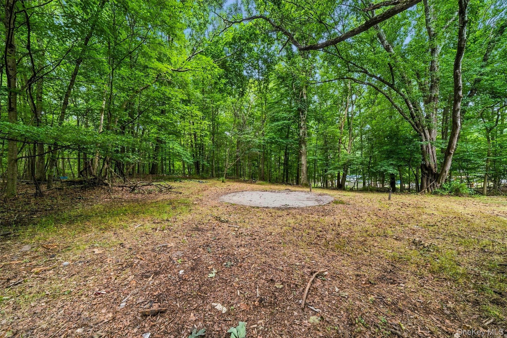 804 S Plank Road Property Photo 7