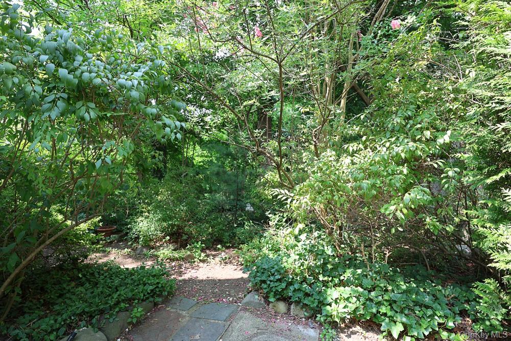 8654 Somerset Street Property Photo 22