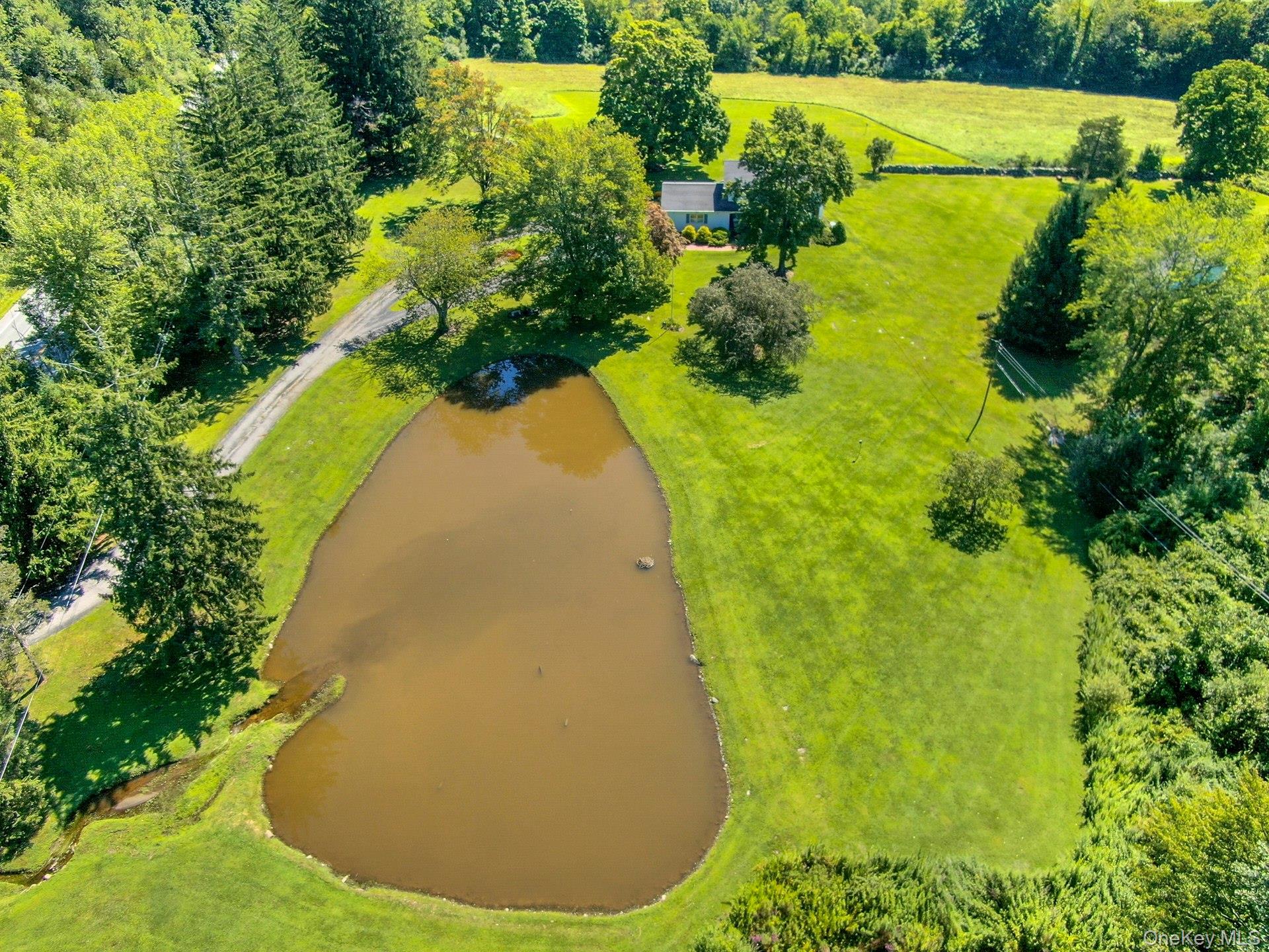 3846 Route 55 Property Photo 44