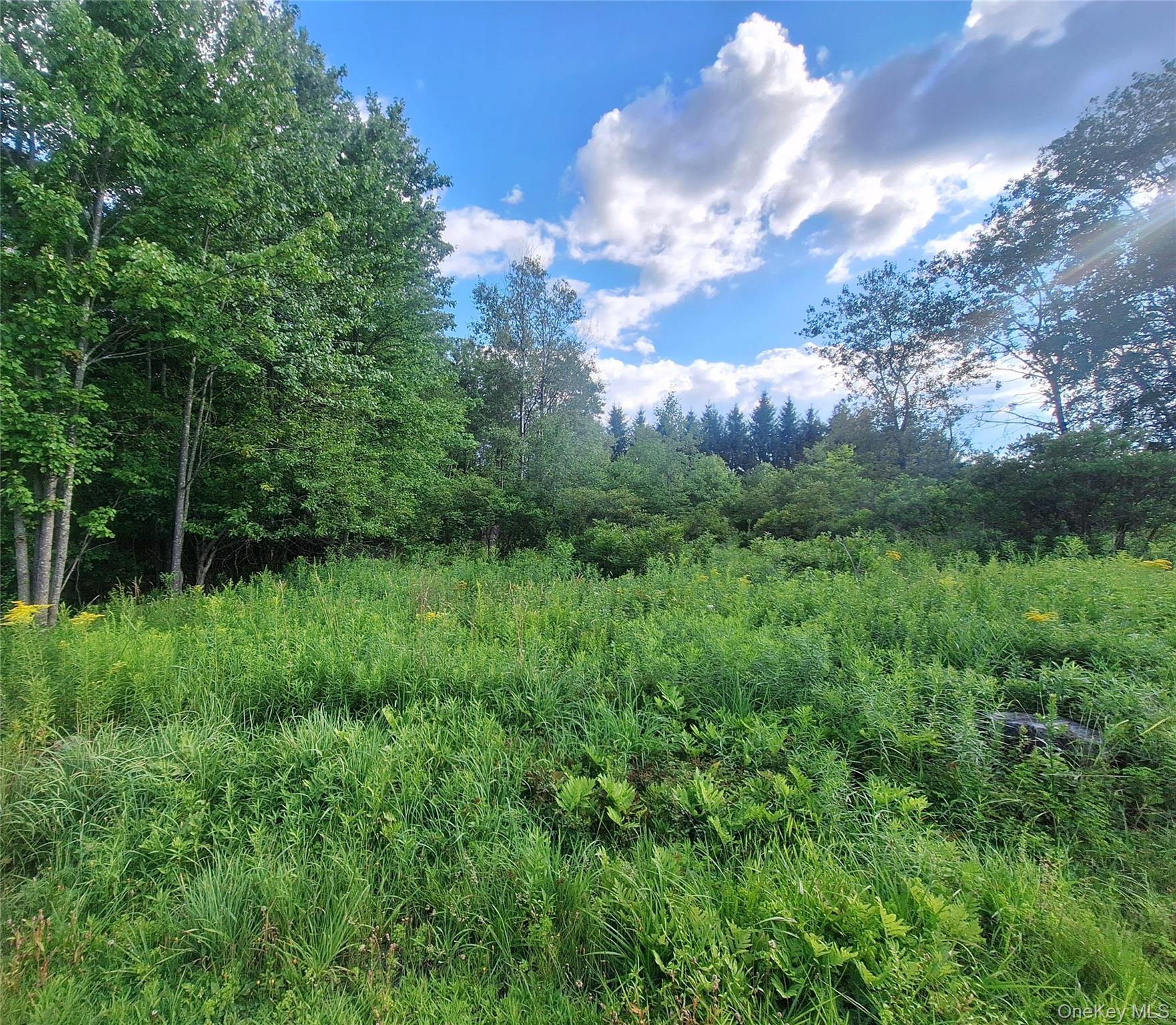 Burnt Ridge Road Property Photo 6