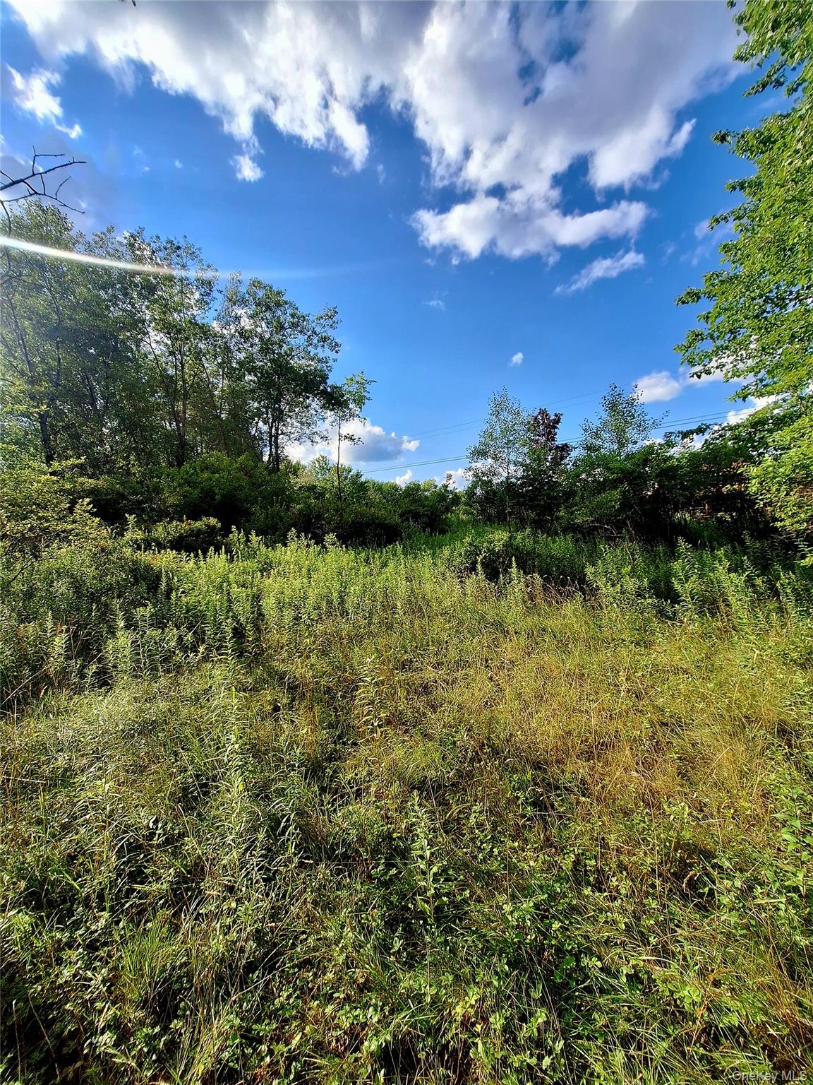 Burnt Ridge Road Property Photo 13