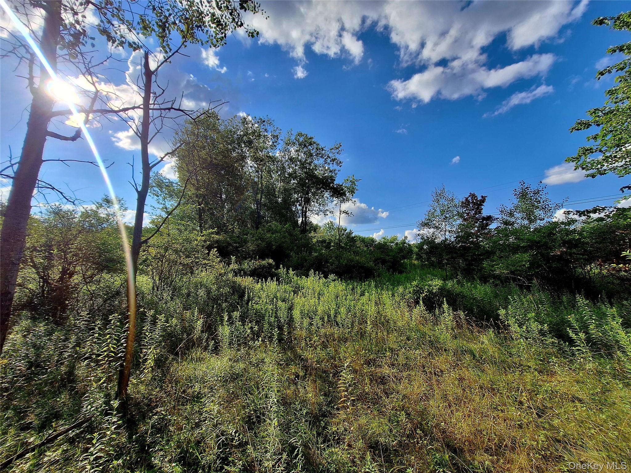 Burnt Ridge Road Property Photo 14