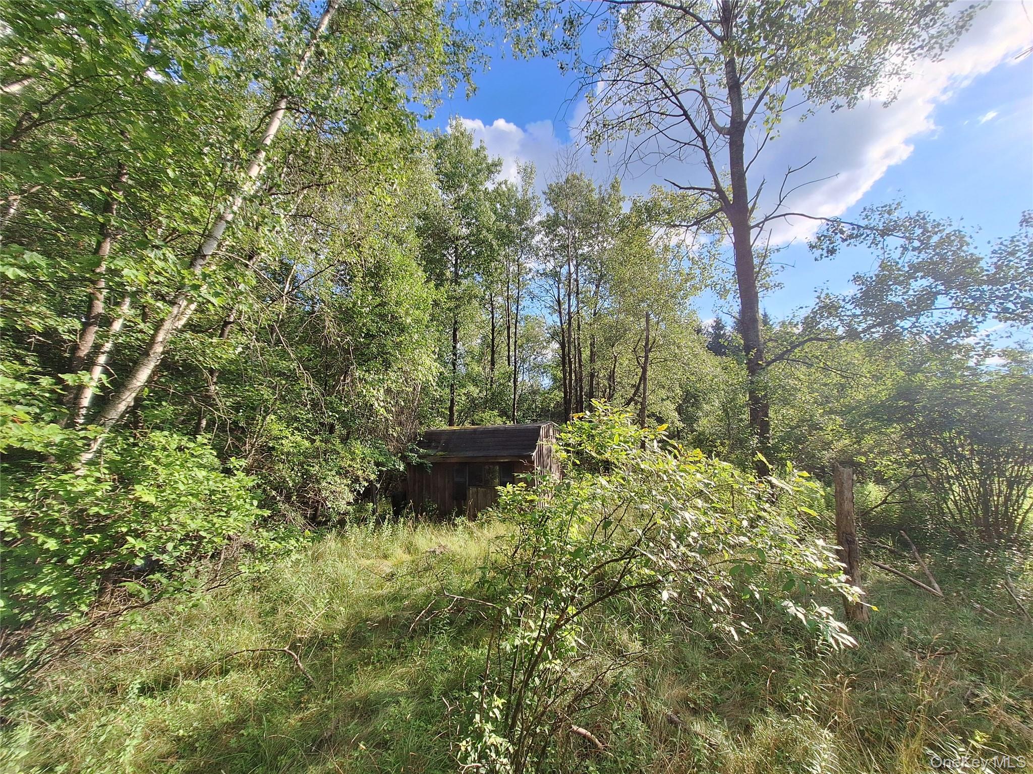 Burnt Ridge Road Property Photo 15