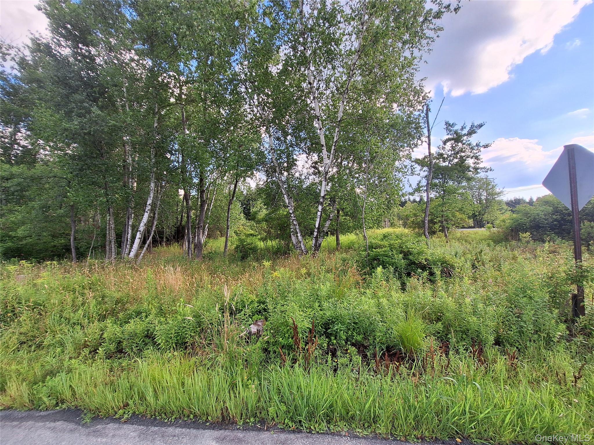 Burnt Ridge Road Property Photo 19