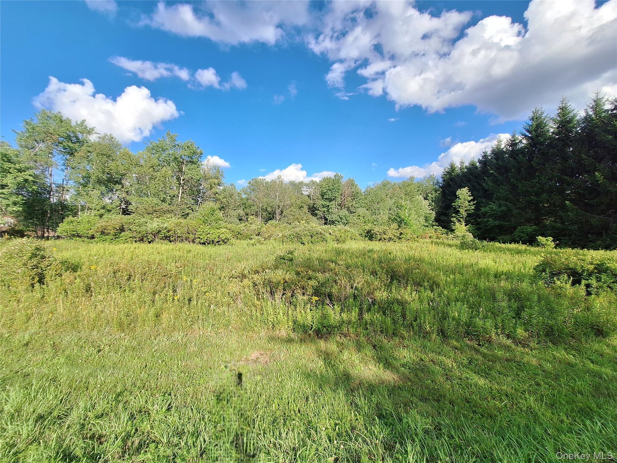 Burnt Ridge Road Property Photo 22