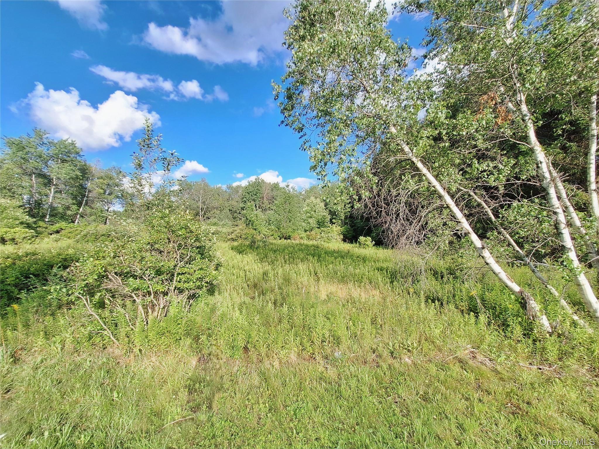 Burnt Ridge Road Property Photo 25