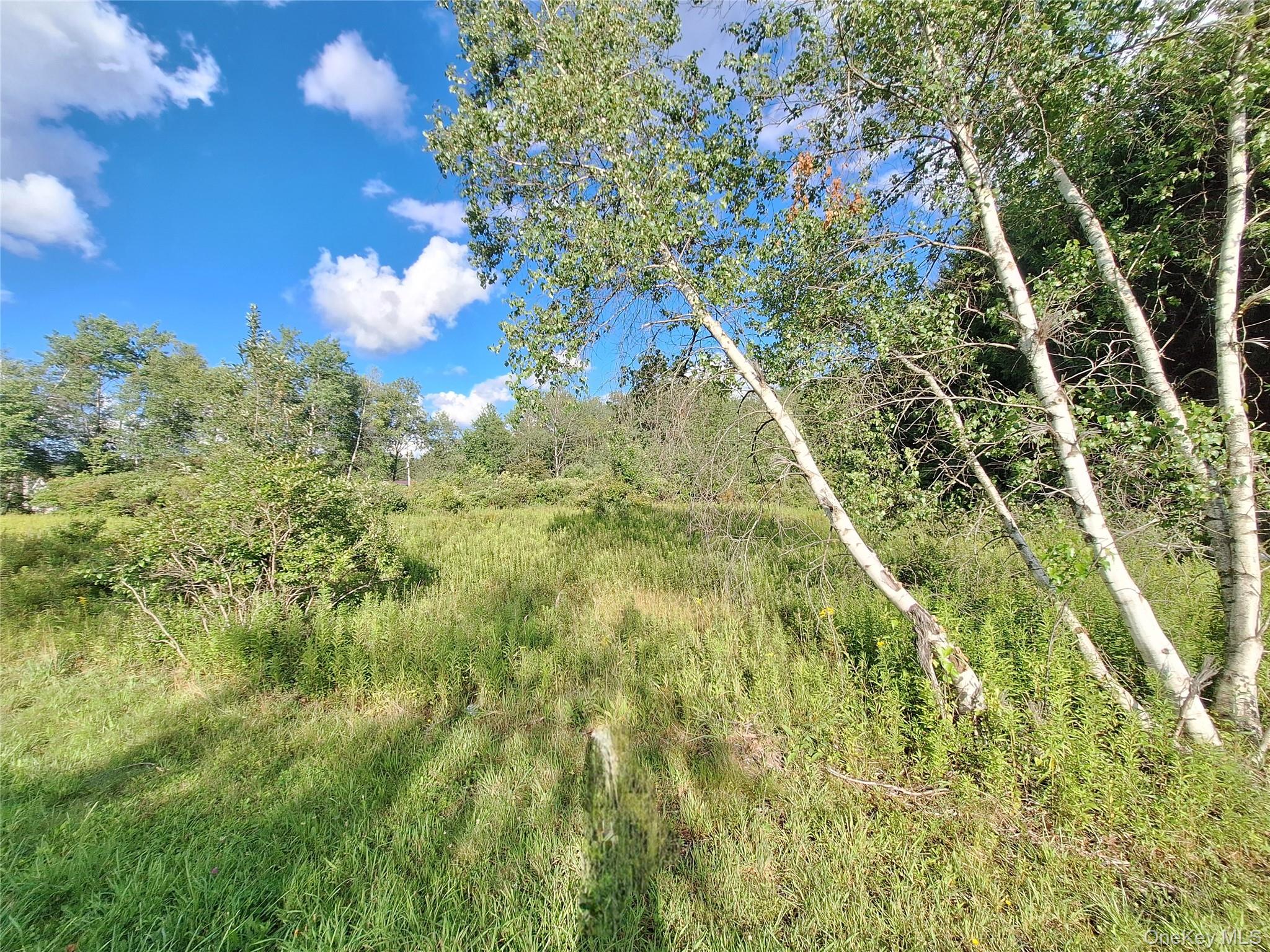 Burnt Ridge Road Property Photo 27