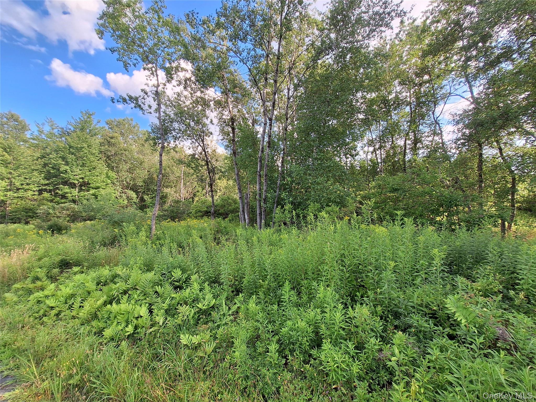 Burnt Ridge Road Property Photo 29
