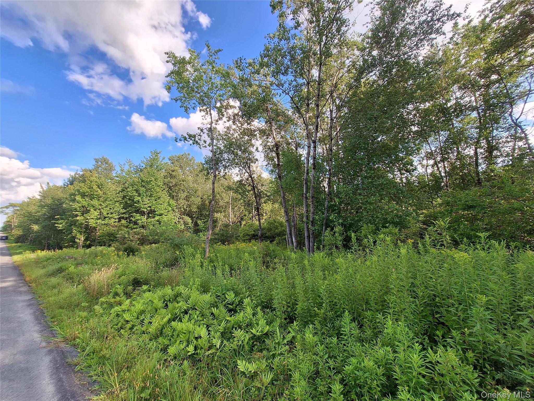 Burnt Ridge Road Property Photo 30