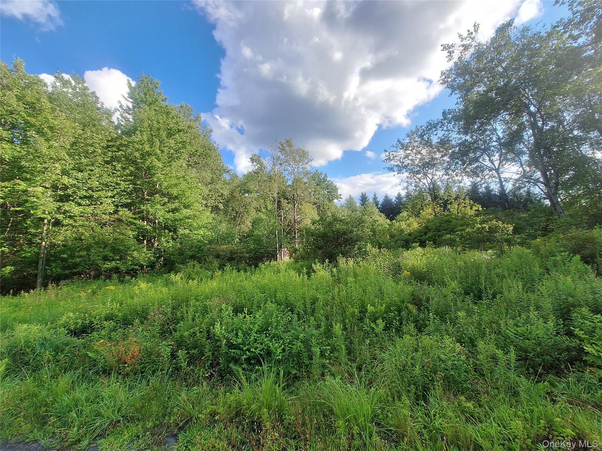 Burnt Ridge Road Property Photo 32