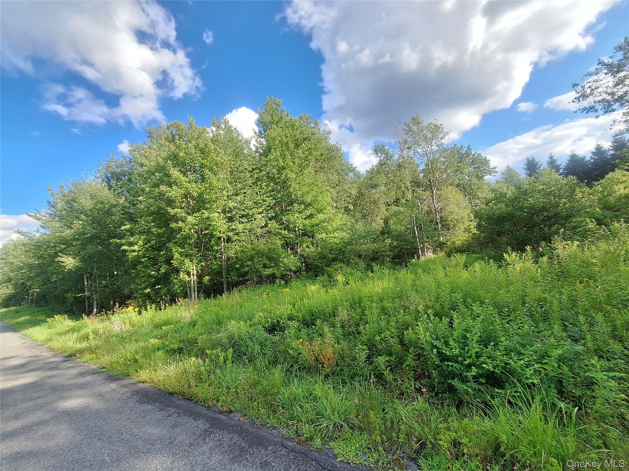 Burnt Ridge Road Property Photo 33