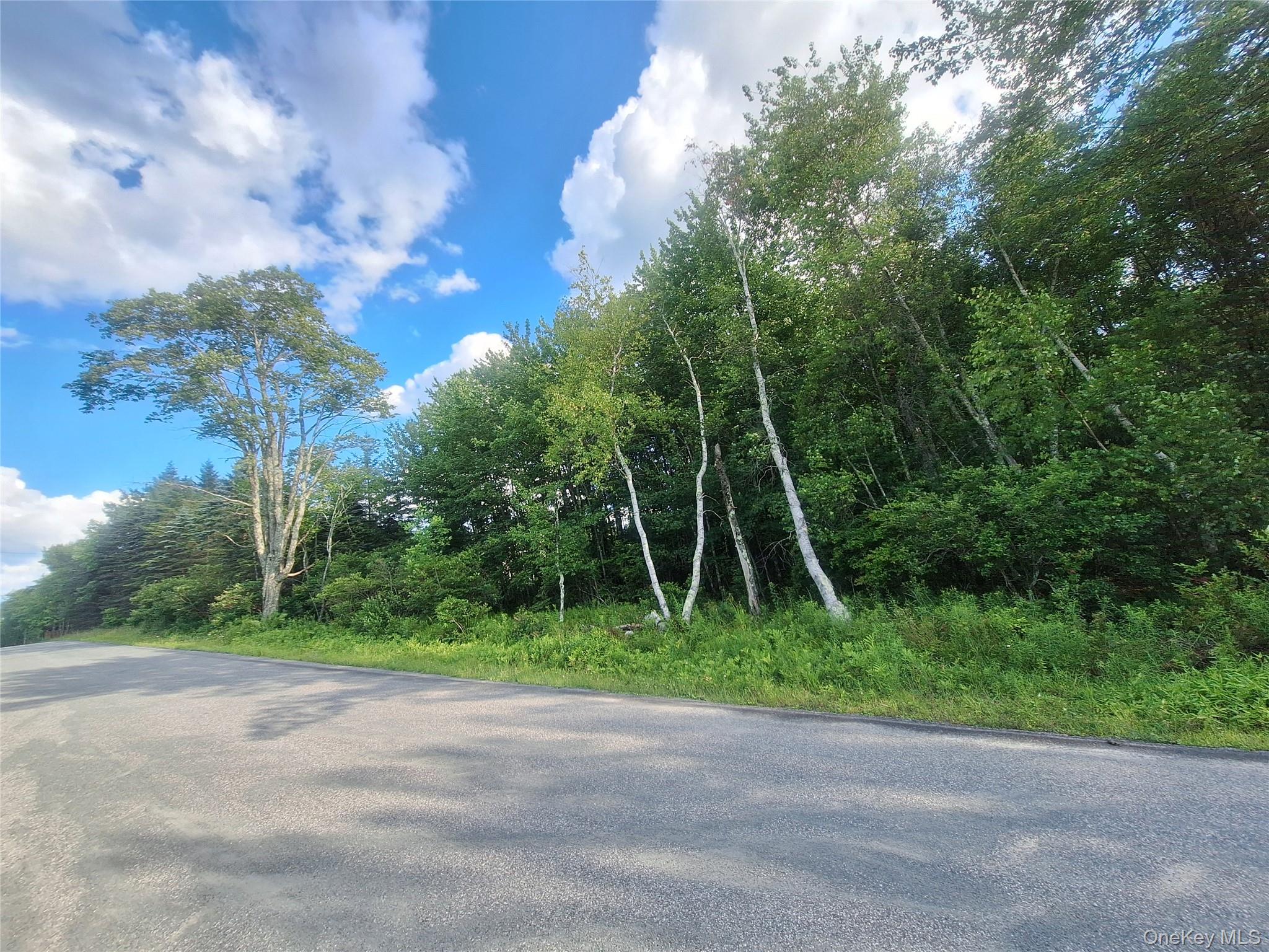 Burnt Ridge Road Property Photo 35