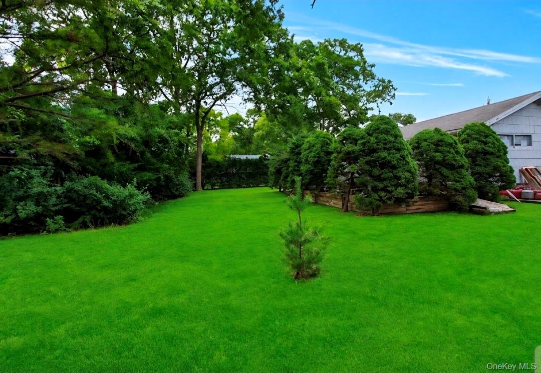 170 Division Avenue Property Photo 22