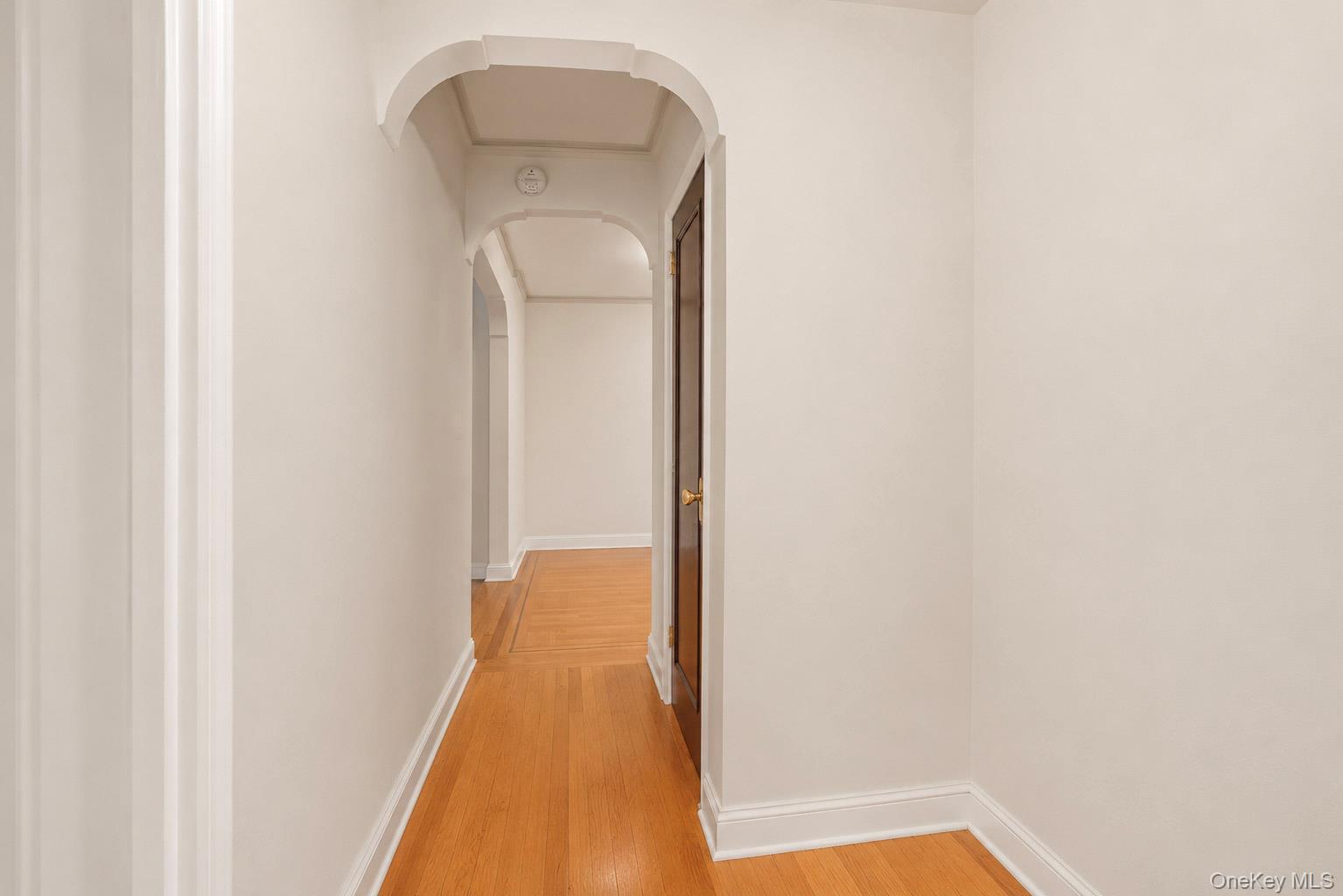 2160 Bronx Park 1f Property Photo 10