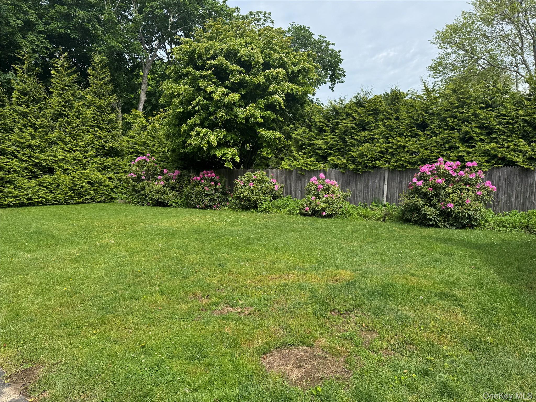 21 Elm Street Property Photo 16