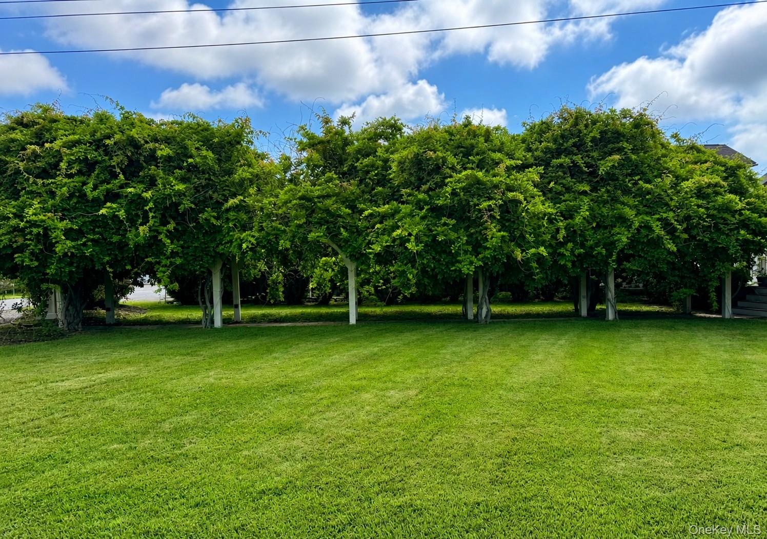 15 Esopus Avenue Property Photo 18