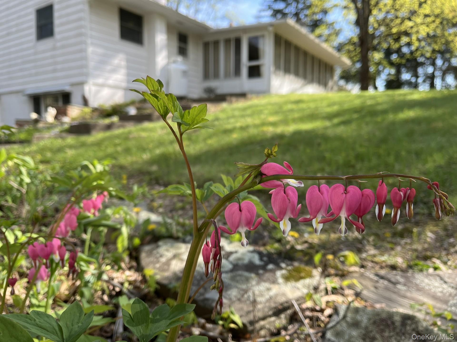 35 Hapeman Hill Road Property Photo 33