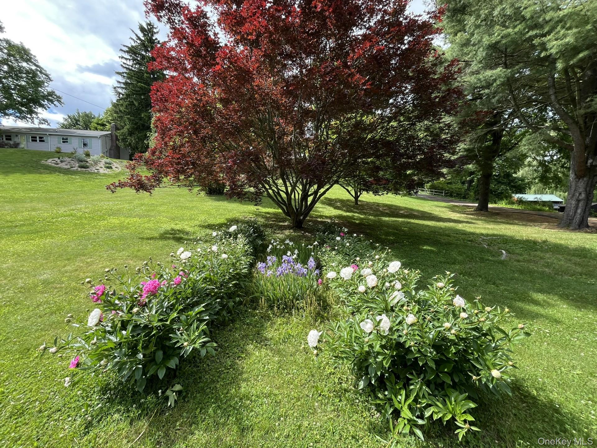 35 Hapeman Hill Road Property Photo 36