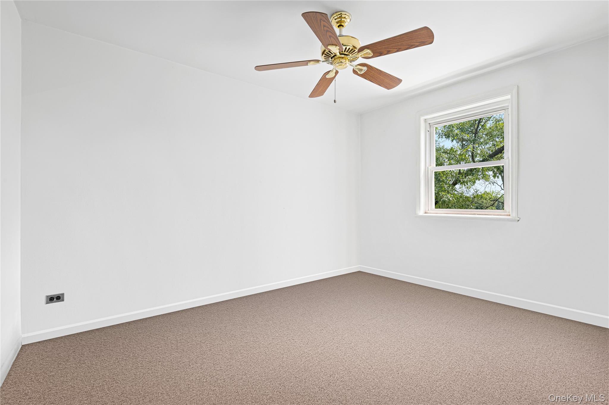 66-92 Selfridge Street 4h Property Photo 5