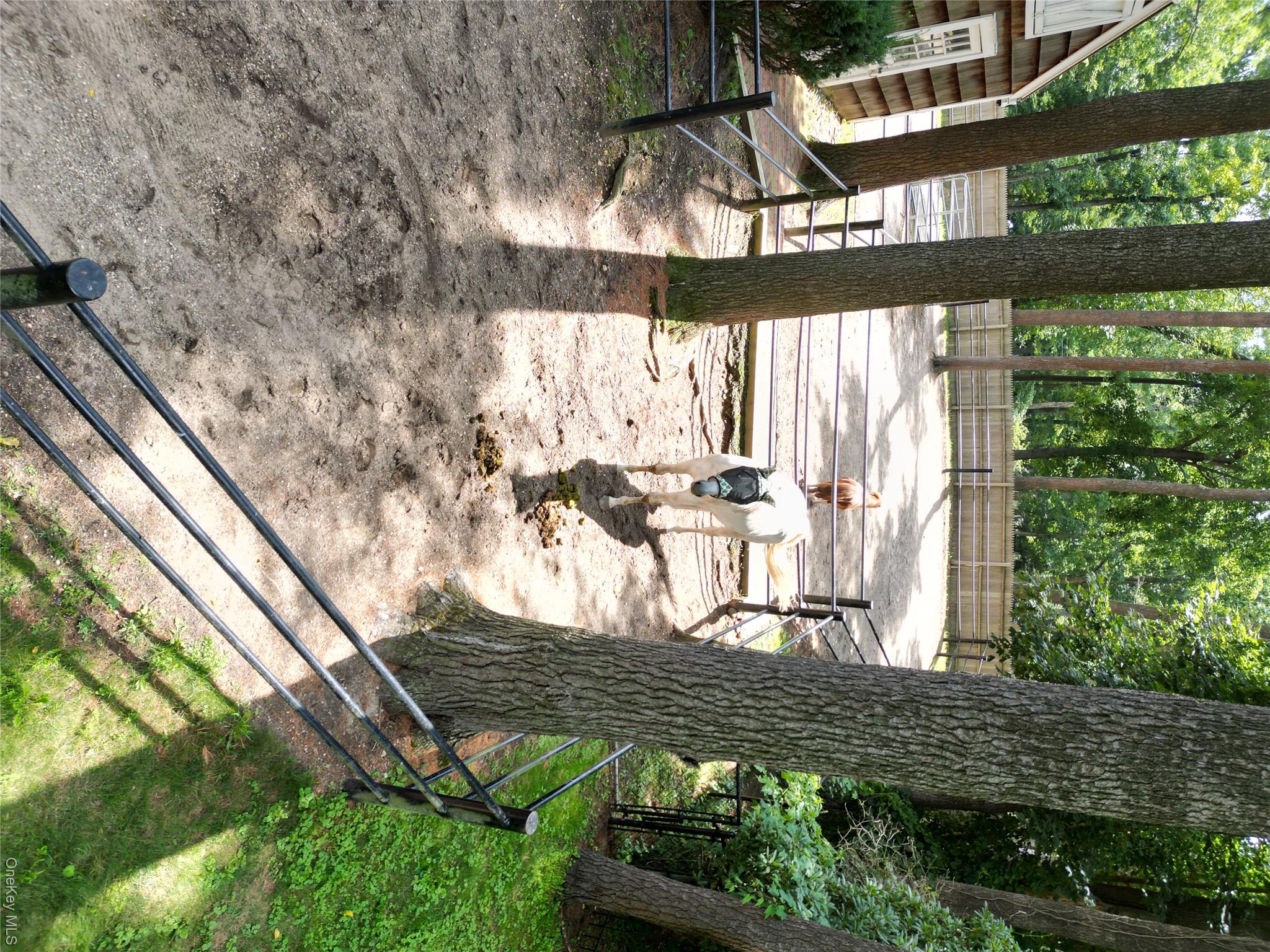 1846 Muttontown Road Property Photo 29