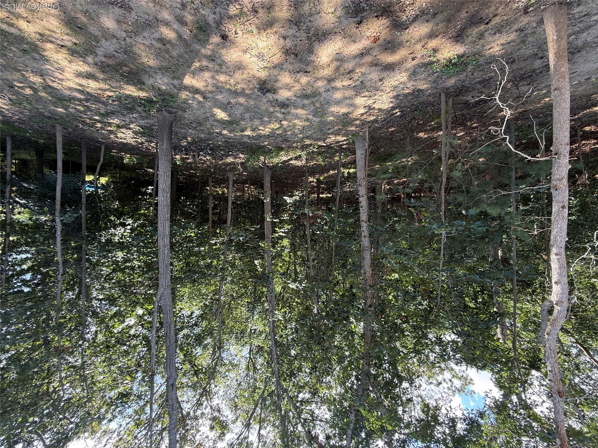 6 Scout Trail Property Photo 3