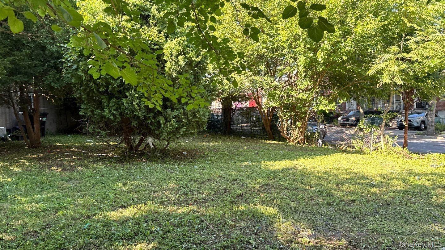 1049 E 233rd Street Property Photo 2
