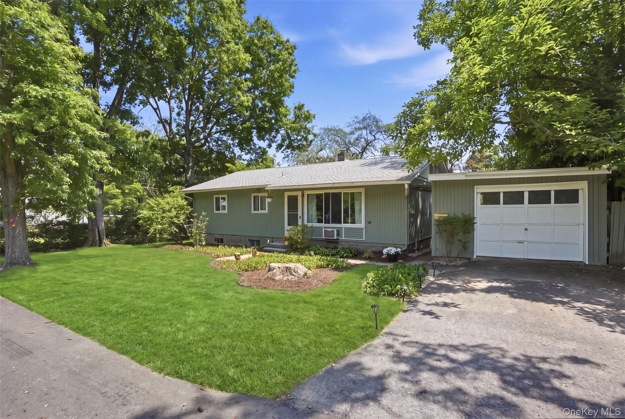 18 Harrington Street Property Photo 4