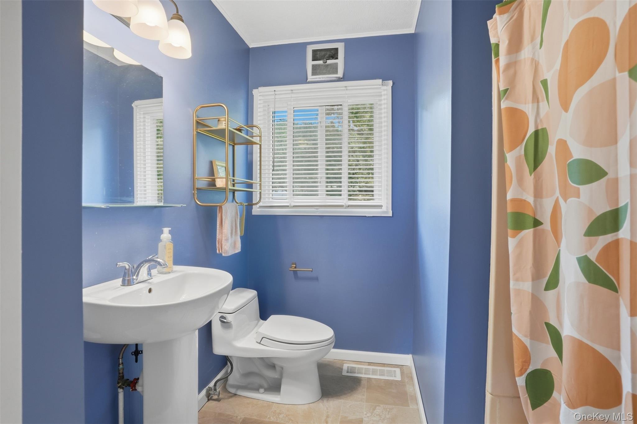 18 Harrington Street Property Photo 17