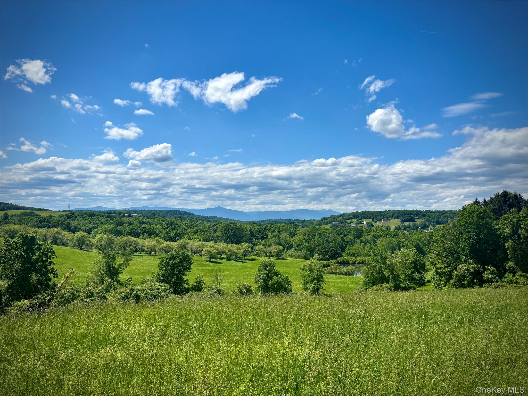2727 County Route 8 Property Photo 2