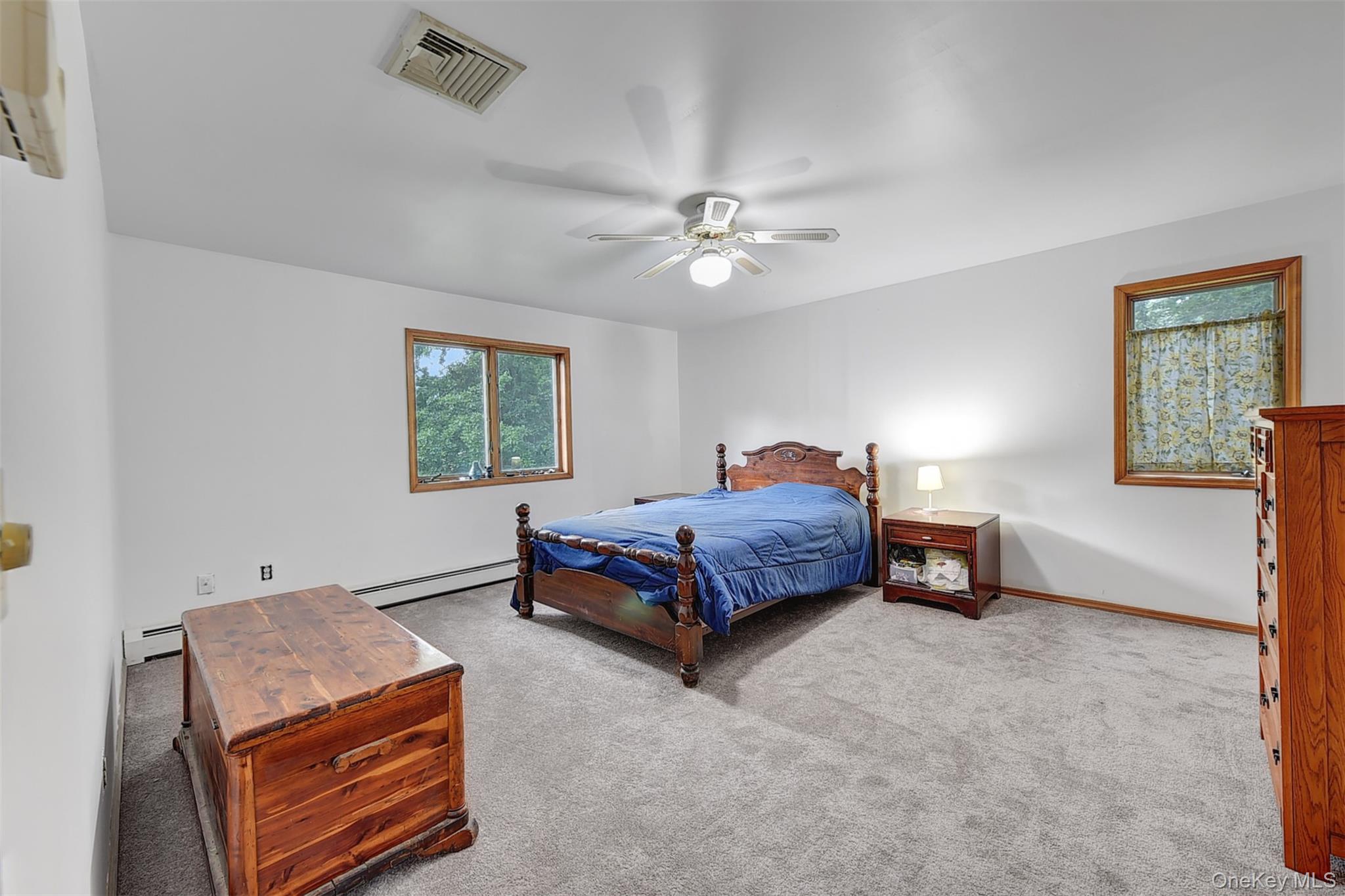 243 Hill Road Property Photo 34