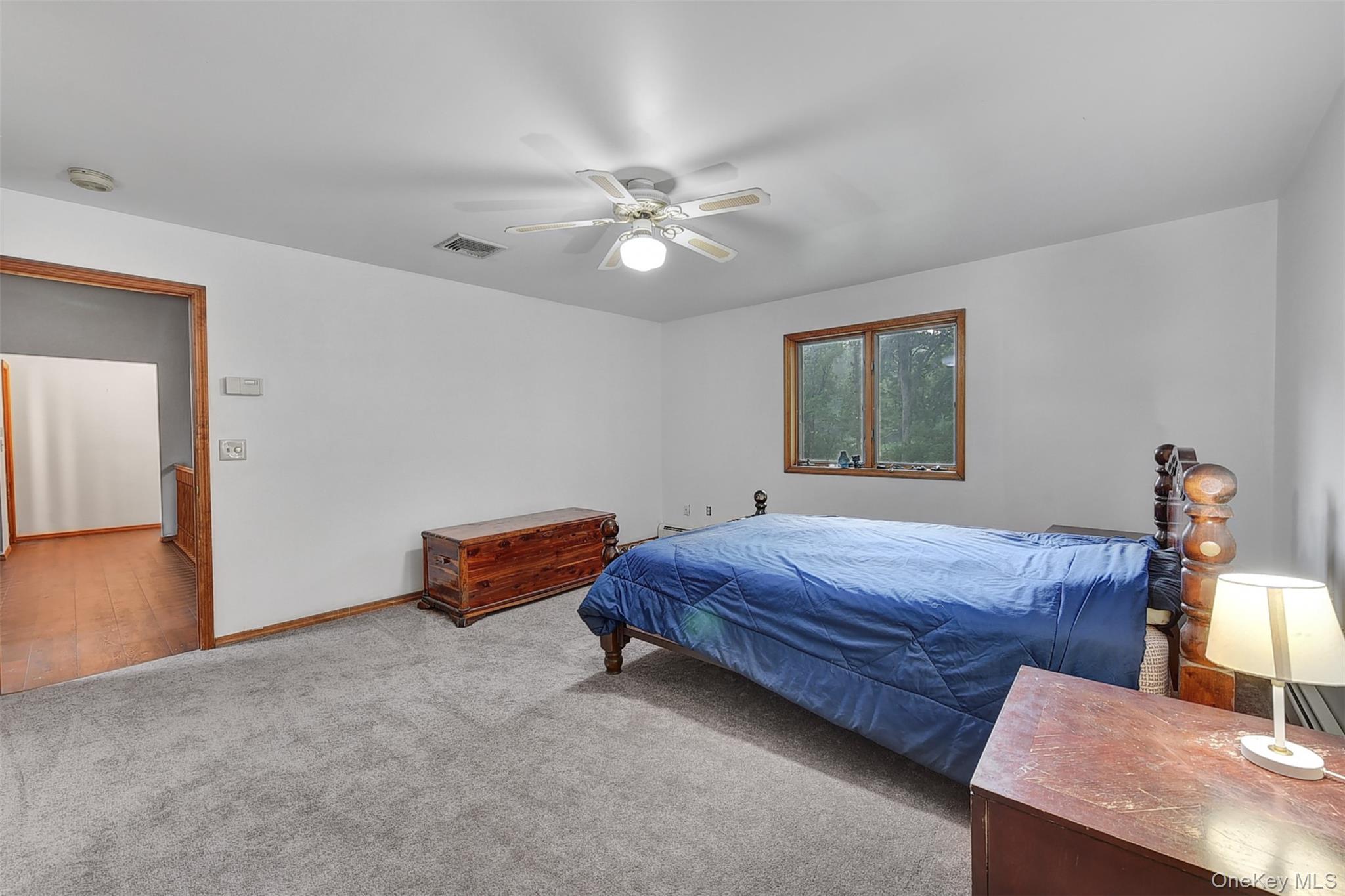 243 Hill Road Property Photo 35